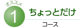 ちょっとだけコース