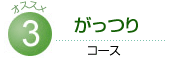 がっつりコース